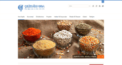 Desktop Screenshot of celikoglugida.com